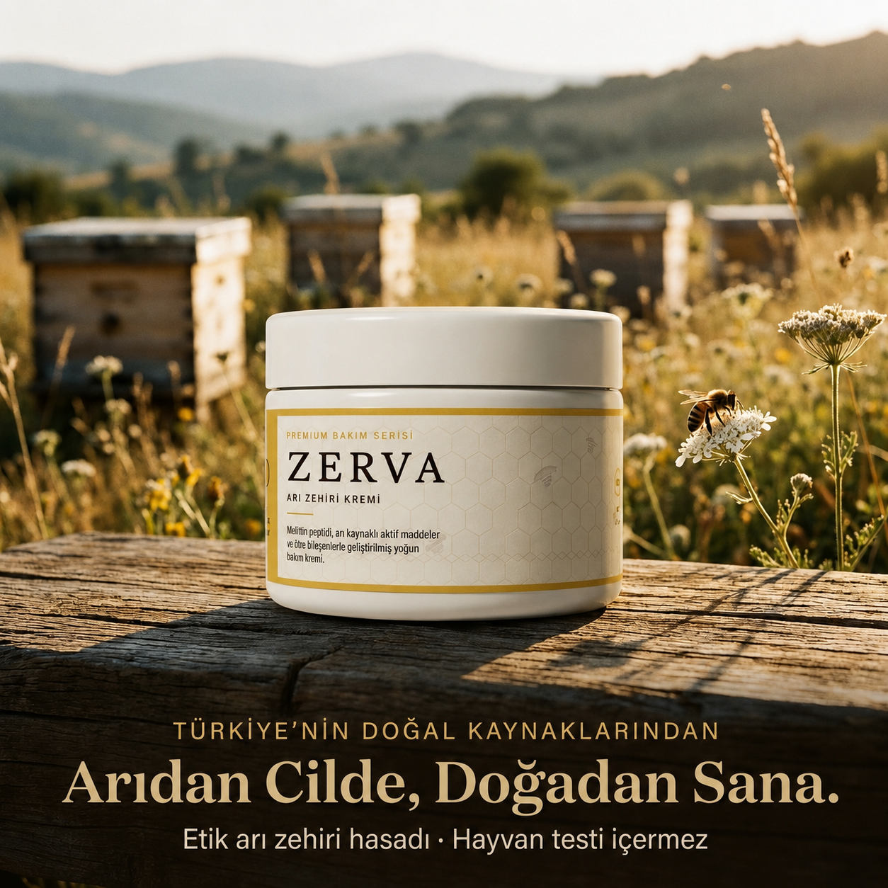 Zerva